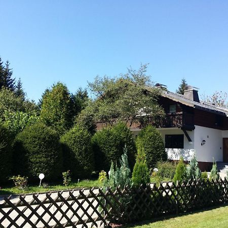 Schwarzwald - Villa Appartments Titisee Экстерьер фото