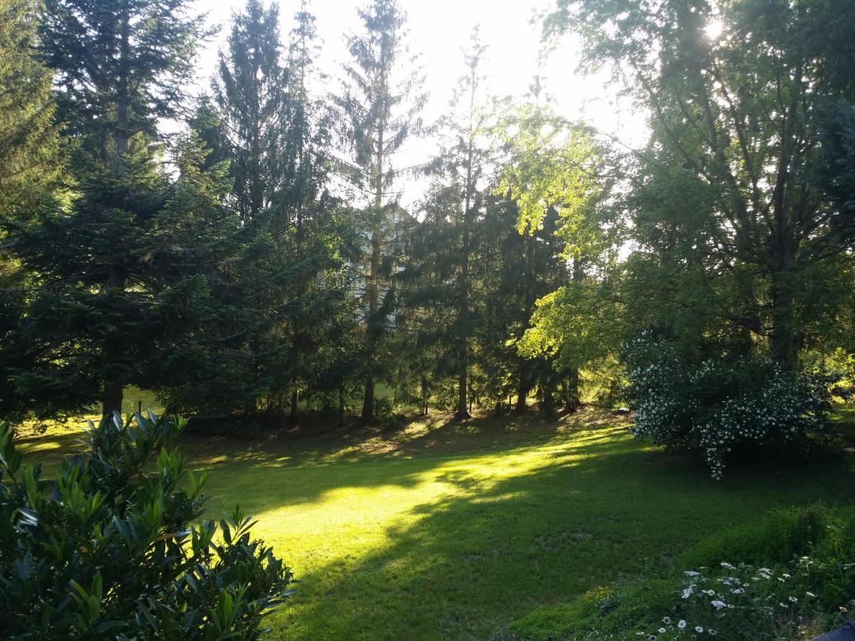 Schwarzwald - Villa Appartments Titisee Экстерьер фото