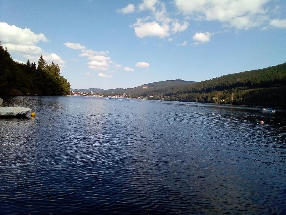 Schwarzwald - Villa Appartments Titisee Экстерьер фото