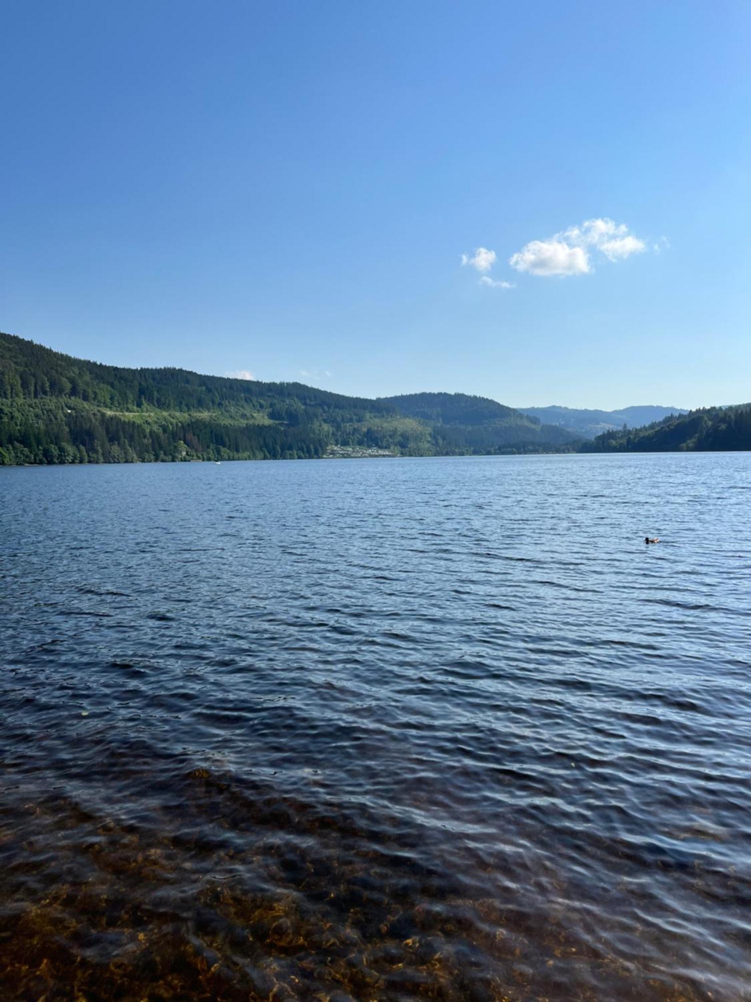 Schwarzwald - Villa Appartments Titisee Экстерьер фото