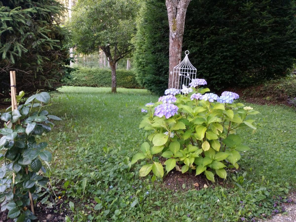 Schwarzwald - Villa Appartments Titisee Экстерьер фото