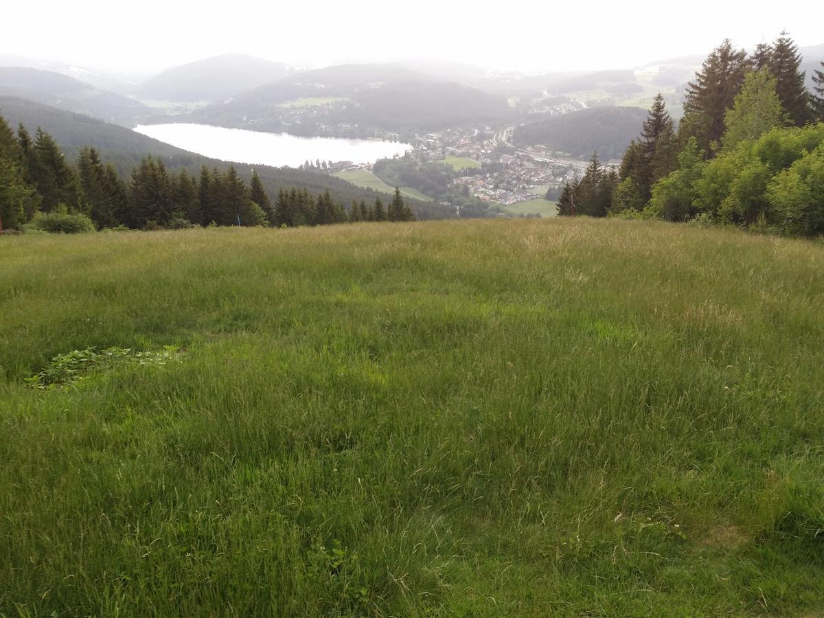Schwarzwald - Villa Appartments Titisee Экстерьер фото