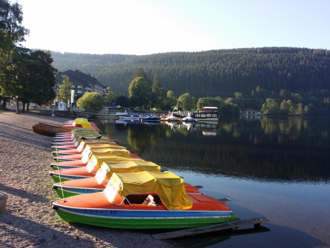Schwarzwald - Villa Appartments Titisee Экстерьер фото