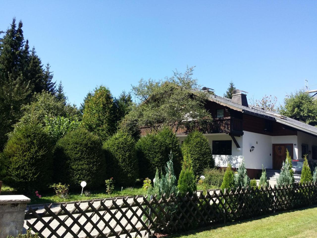 Schwarzwald - Villa Appartments Titisee Экстерьер фото