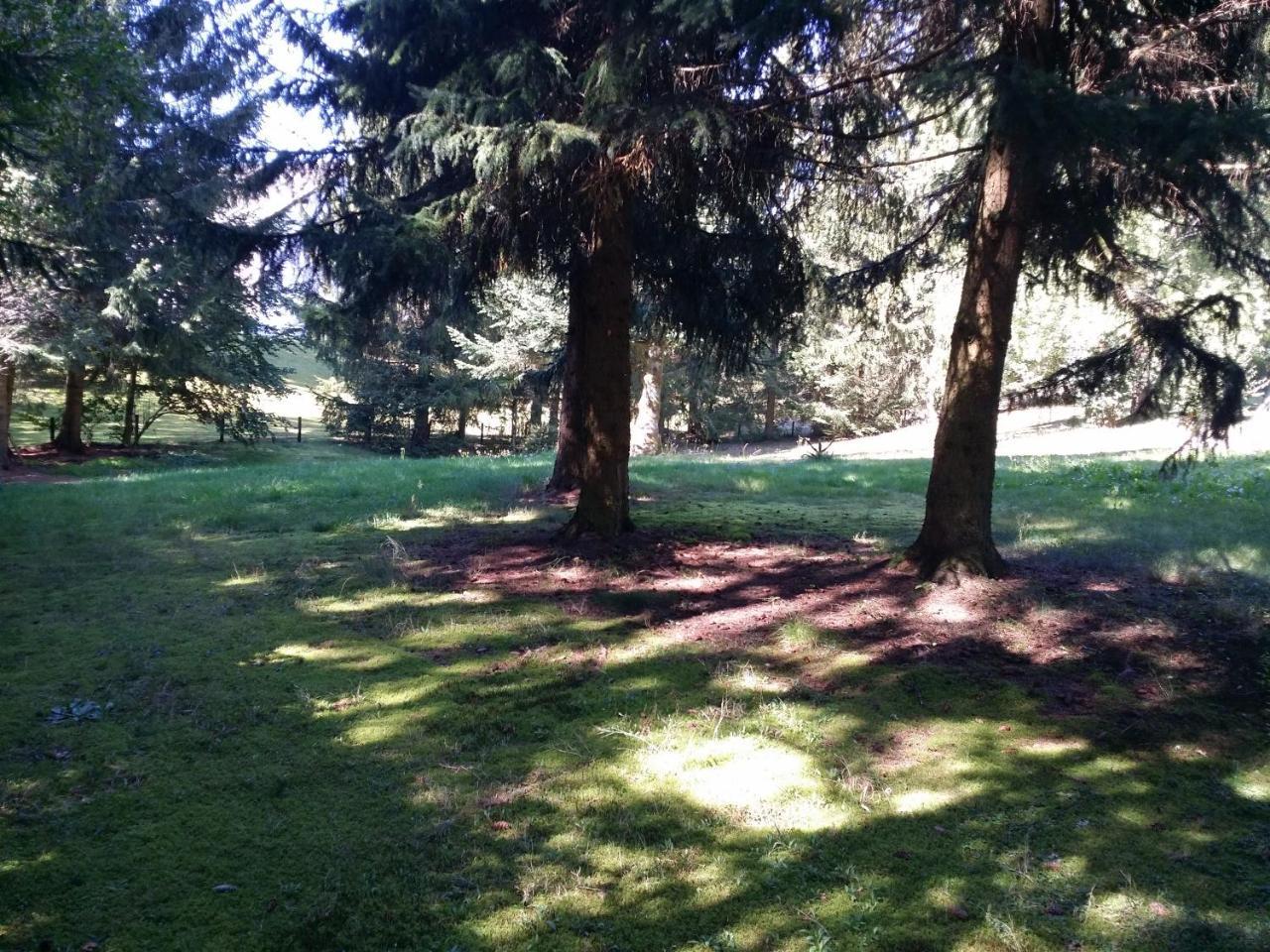 Schwarzwald - Villa Appartments Titisee Экстерьер фото